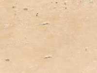 Travertino