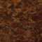 Autumn brown