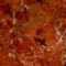 Breccia pernice