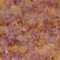 Broccatello francese
