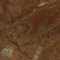 Fossile marrone